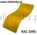 Ral 1005.jpg