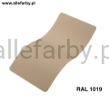 Ral 1019.jpg