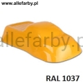 Ral 1037.jpg