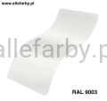Ral 9003.jpg