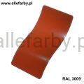 Ral 3009.jpg