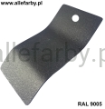 RAL 9005 1113 1.jpg