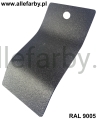 RAL 9005 1113 2.jpg