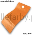 RAL 2000 1173 1.jpg
