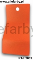 RAL 2009 1256 2.jpg