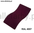 RAL 4007.jpg