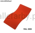 Ral 3000.jpg