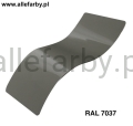 RAL 7037.jpg