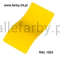 RAL-1023.jpg