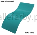 RAL 5018.jpg