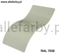 RAL 7038.jpg