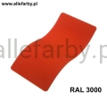 RAL 3000.jpg