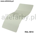 RAL 9010 Farba Proszkowa Poliestrowa Kolor Biały Alpejski Gruba Struktura P/T3/U/999/8-391 Minimum 1 kg