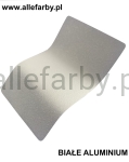 RAL 9006 Farba Proszkowa Epoksydowo - Poliestrowa Kolor Białe Aluminium Metalik Drobna Struktura EP/F/C/9706/2-341 Minimum 1 kg