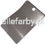 RAL 9007 Farba Proszkowa Poliestrowa Kolor Szare Aluminium Gładki Połysk PE54XT9007189GLX Minimum 1 kg