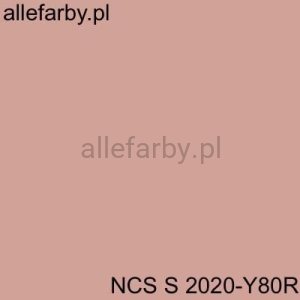 NCS S 2020-Y80R Farba Proszkowa Epoksydowo-Poliestrowa Mat EP/S4/U/NCSS2020/8-360 Minimum 20 kg ( fARBA DO PRODUKCJI
