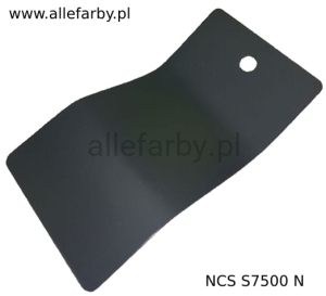 NCS S 7500-N Epoksydowo-Poliestrowa Kolor Szary Gładki Mat EP/S4/U/1101/8-412 Minimum 20 kg  