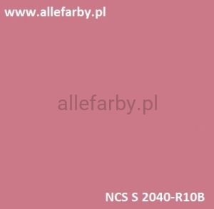 NCS S 2040-R10B Farba Proszkowa Poliestrowa Gładki Mat P/S4/U/2832/H-101 Minimum 20 kg