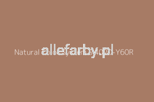 NCS S 4020-Y60R Farba Proszkowa Epoksydowo - Poliestrowa Gładki Mat EP/S4/U/P7659/H-193 Minimum 20 kg ( Farba do produkcji )