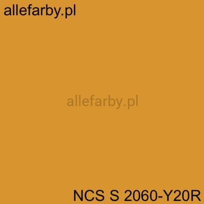 ncs s 2060-y20r.jpg