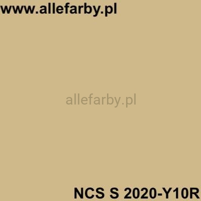 NCS S 2020-Y10R.jpg