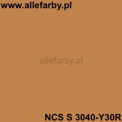 NCS S 3040-Y30R.jpg