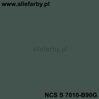 NCS S 7010-B90G ALLEFARBY.jpg