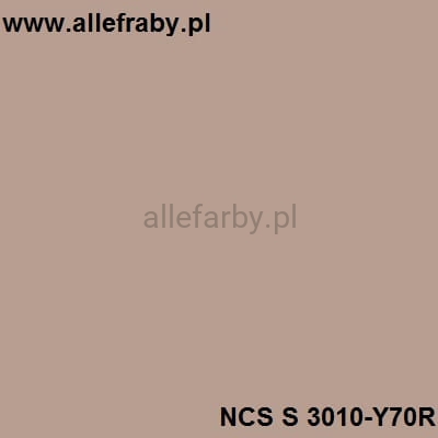 NCS S 3010-Y70R.jpg