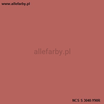 NCS S 3040-Y90R.jpg