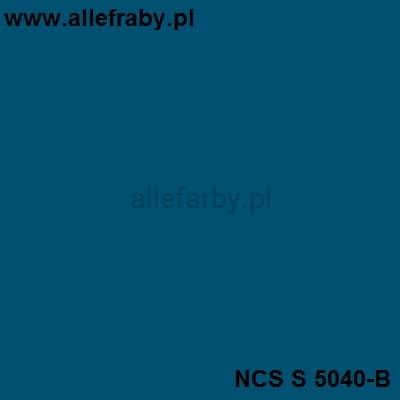 NCS S 5040-B.jpg