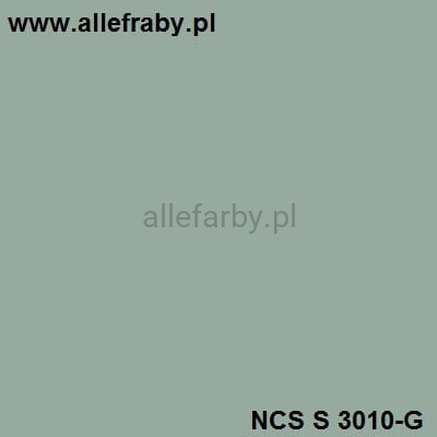 NCS S 3010-G.jpg