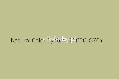 NCS S 2020-G70Y.jpg