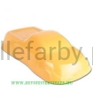 2c2a9afec90821e63628dd5ec306079c