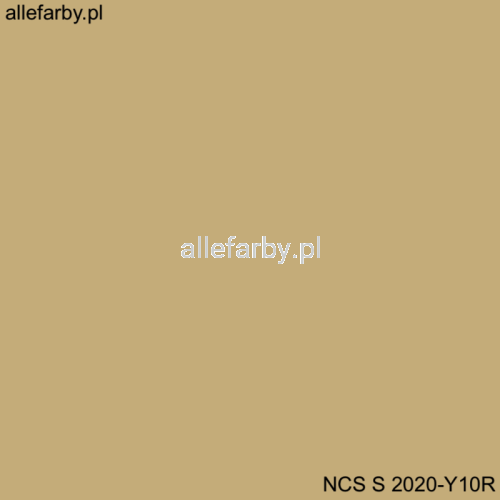 NCS S 2020-Y10R-800x800.png