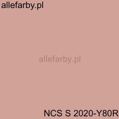 ncs s 2020-y80r.jpg