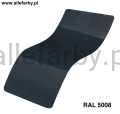 Ral 5008.jpg