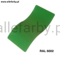 Ral 6002.jpg