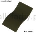 Ral 6008.jpg