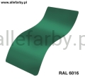 Ral 6016.jpg