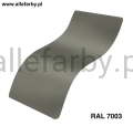 Ral 7003.jpg
