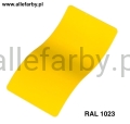 Ral 1023.jpg