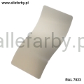 Ral 7023.jpg