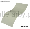 Ral 7038.jpg