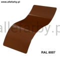 Ral 8007.jpg