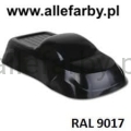 Ral 9017.jpg
