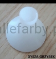 Dysza grzybek 1.jpg