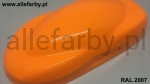 RAL 2007 Farba Proszkowa Epoksydowo - Poliestrowa Kolor Neonowy Żółto-Pomarańczowy Gładki Połysk FF87AC2007109GLX Minimum 1 kg
