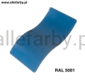 Ral 5001.jpg
