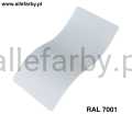 Ral 7001.jpg