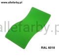 RAL 6018 1.jpg